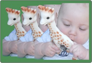Les girafes Sophie Newbies